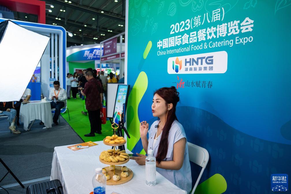 晨龙游戏官网下载